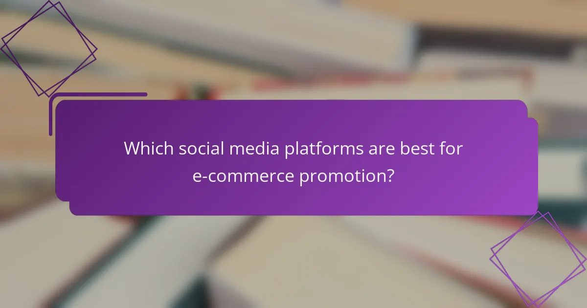 Which social media platforms are best for e-commerce promotion?